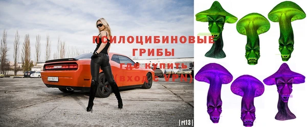 соль ск Покровск