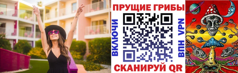 закладка  Хвалынск  Галлюциногенные грибы GOLDEN TEACHER 